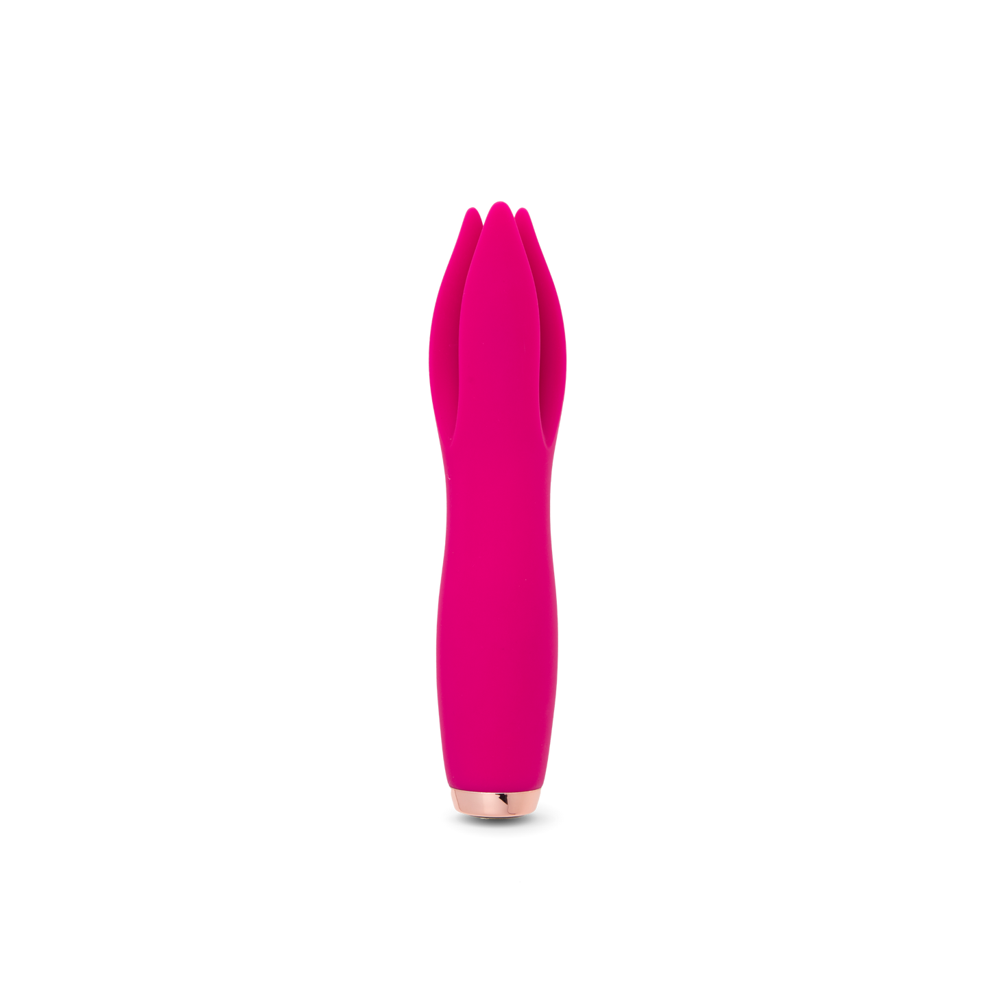 Tulip